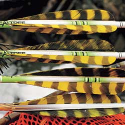 fletching